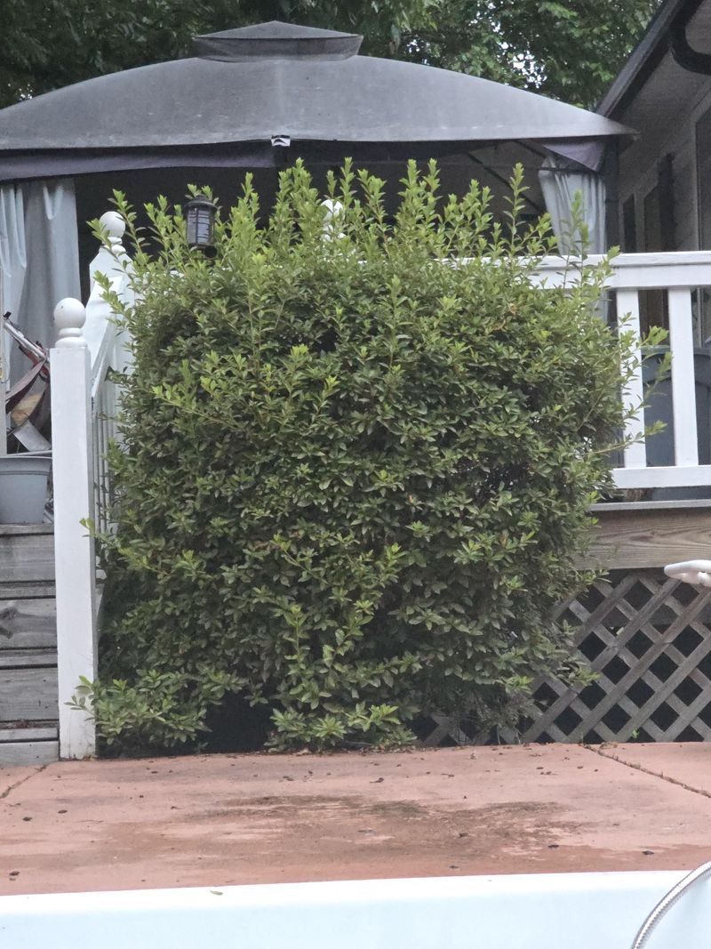 Open The Center Slightly To Improve Airflow