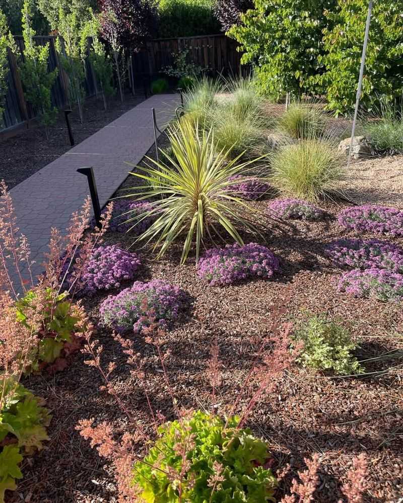 Water-Wise Gardening Becomes Essential