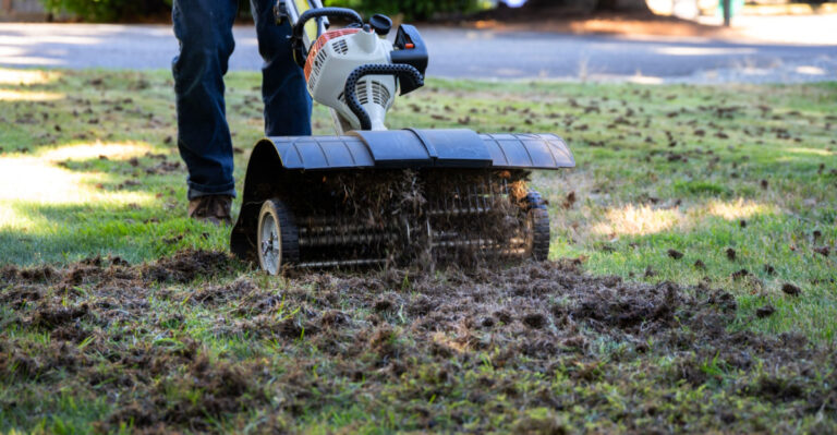 Should Florida Gardeners Dethatch Their Lawns? Most Do It At The Wrong Time