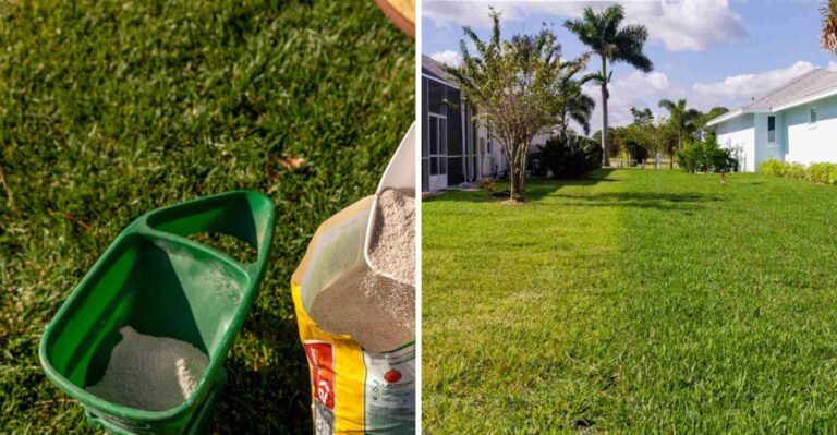 lawn fertilizer