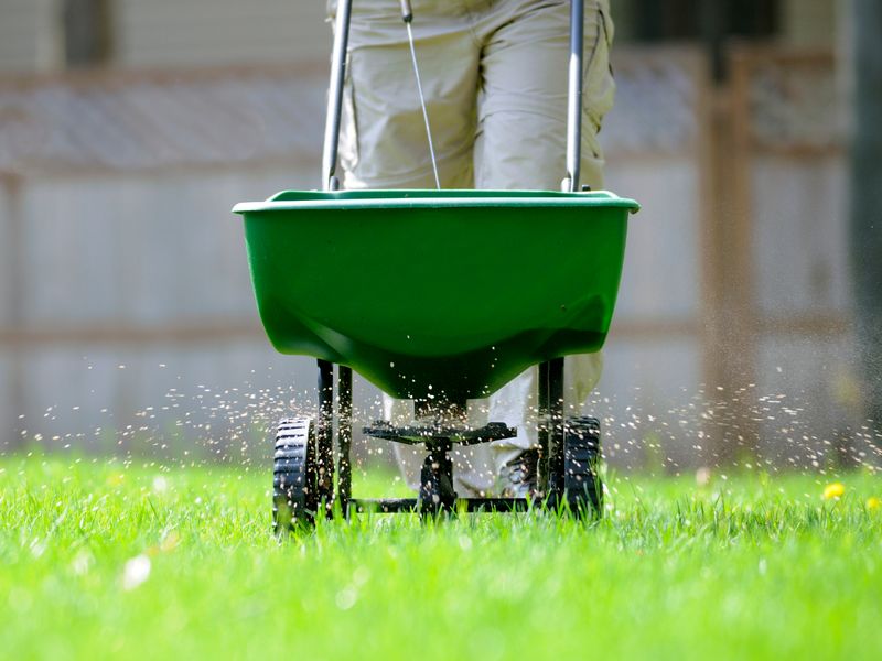 March Fertilizing Often Starts Too Early For Ohio Lawns