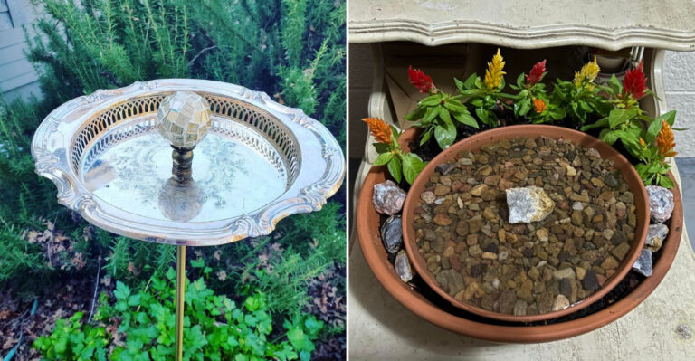 birdbath alternatives