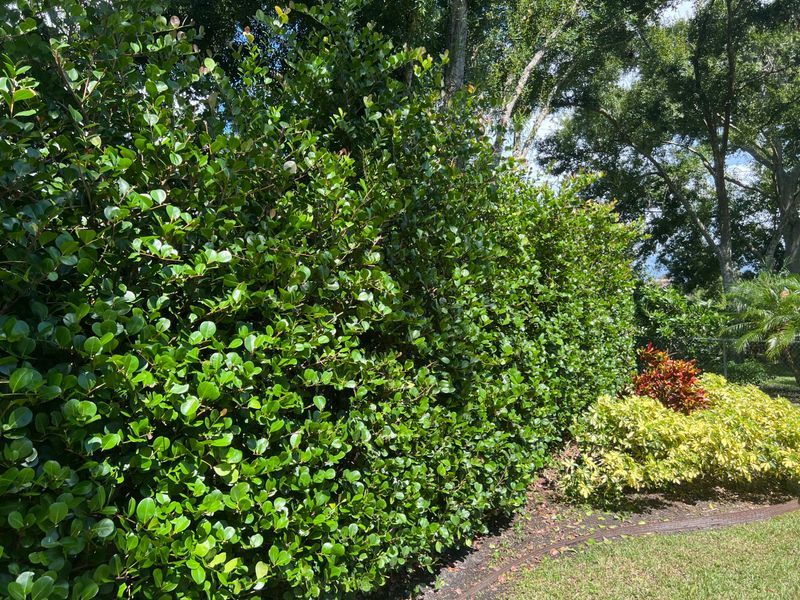 Cocoplum Feels Like A Resort