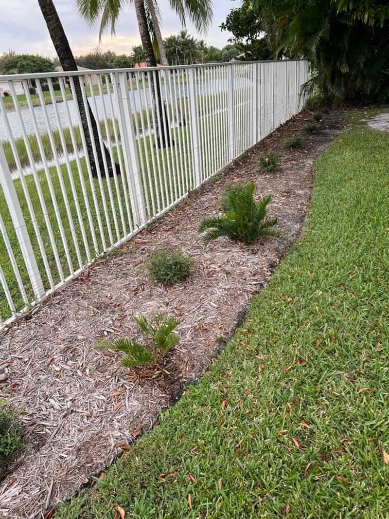 Avoid Feeding Newly Planted Landscape Plants