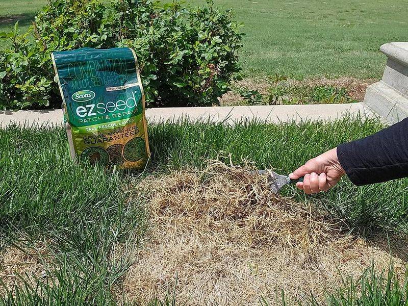 Over-Fertilizing Lawns And Beds