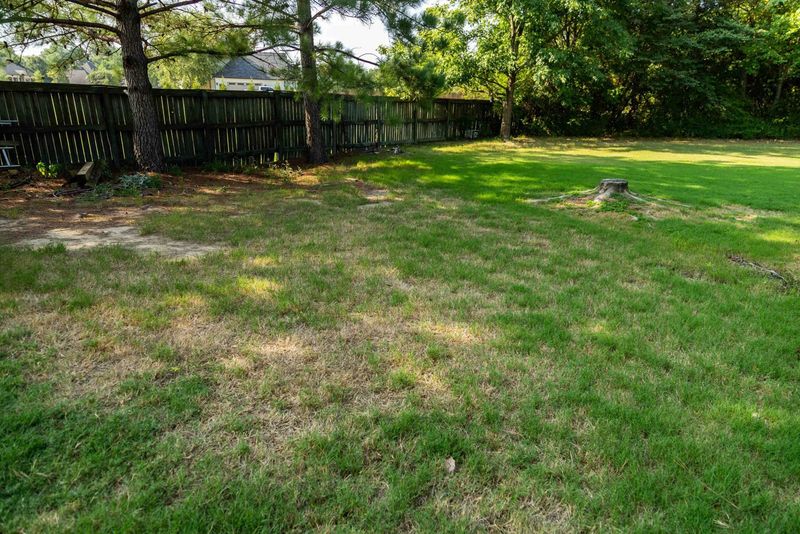 Overfertilizing In Spring Can Lead To Weak, Fast Growth