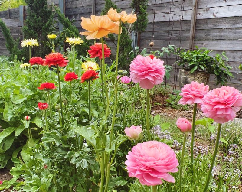 Well-Draining Soil Prevents Rot And Supports Healthy Growth