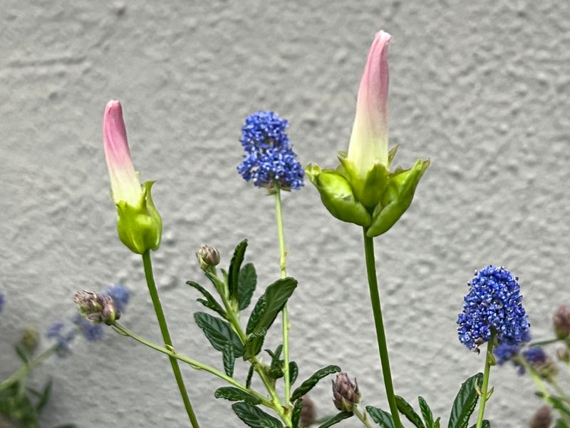 Cool Spring Temperatures Help