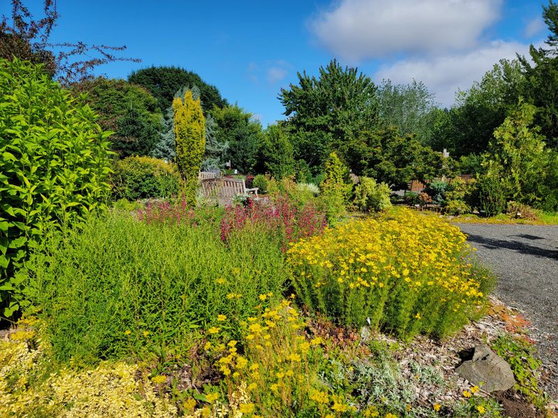 Microclimates In The Garden