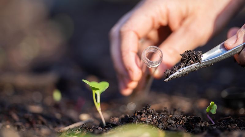 A Soil Test Keeps You From Guessing