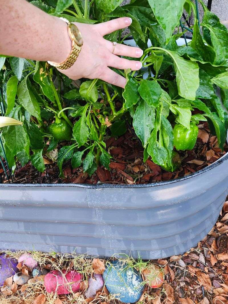 Check Soil Moisture Frequently As Temperatures Rise