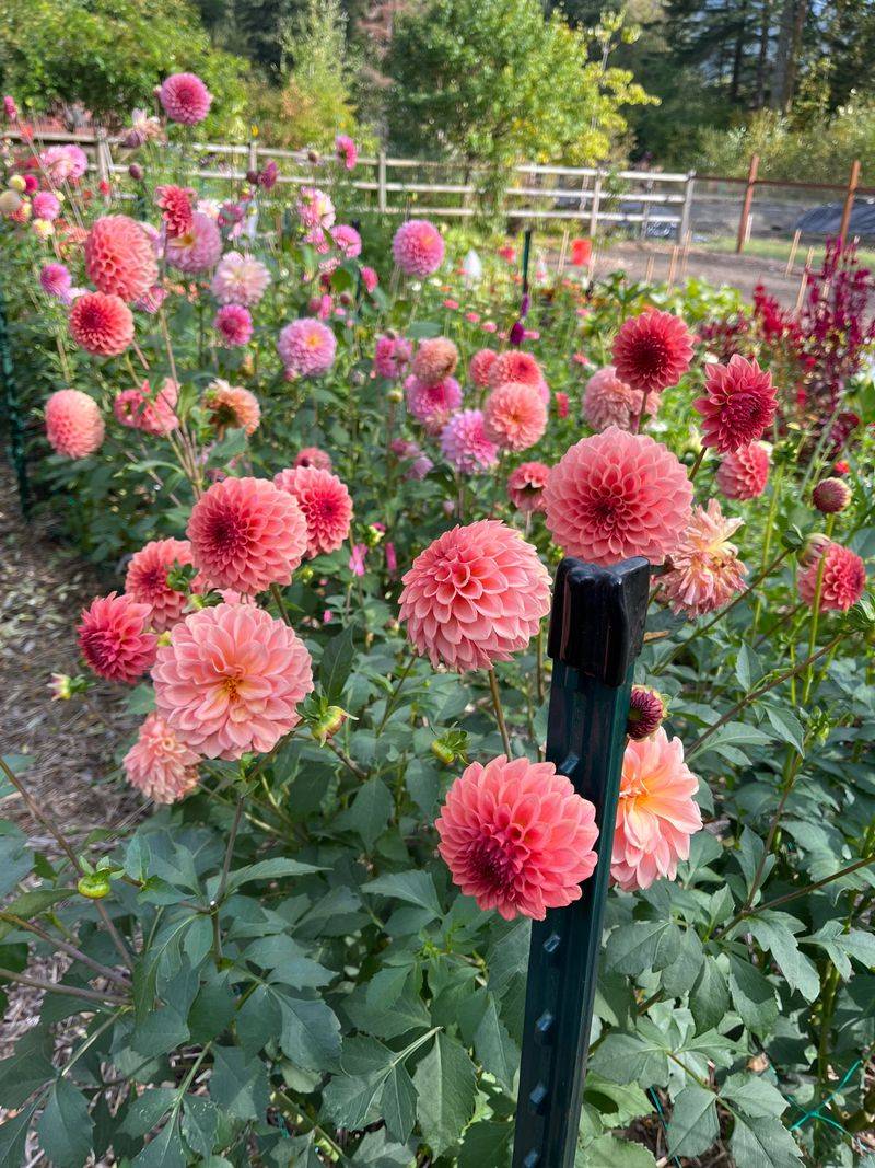 Water Deep And Consistently