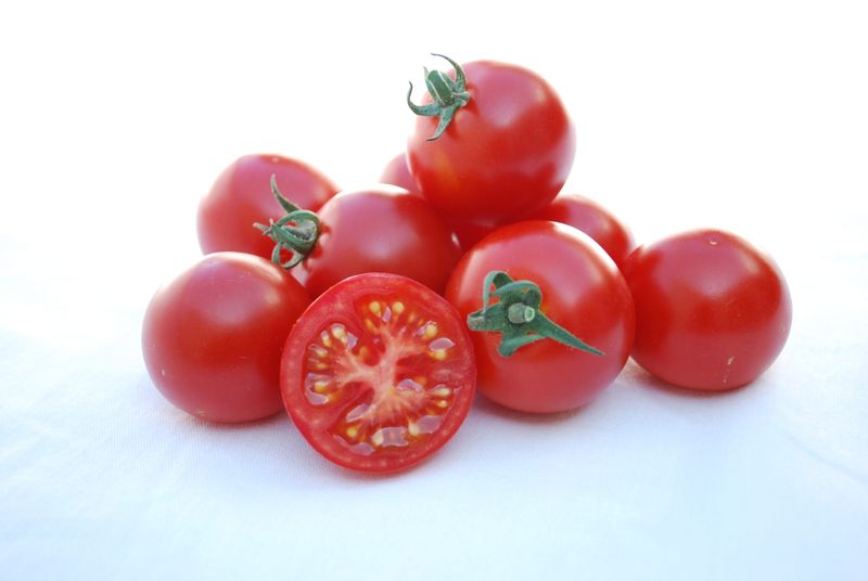 Strong Disease Resistance