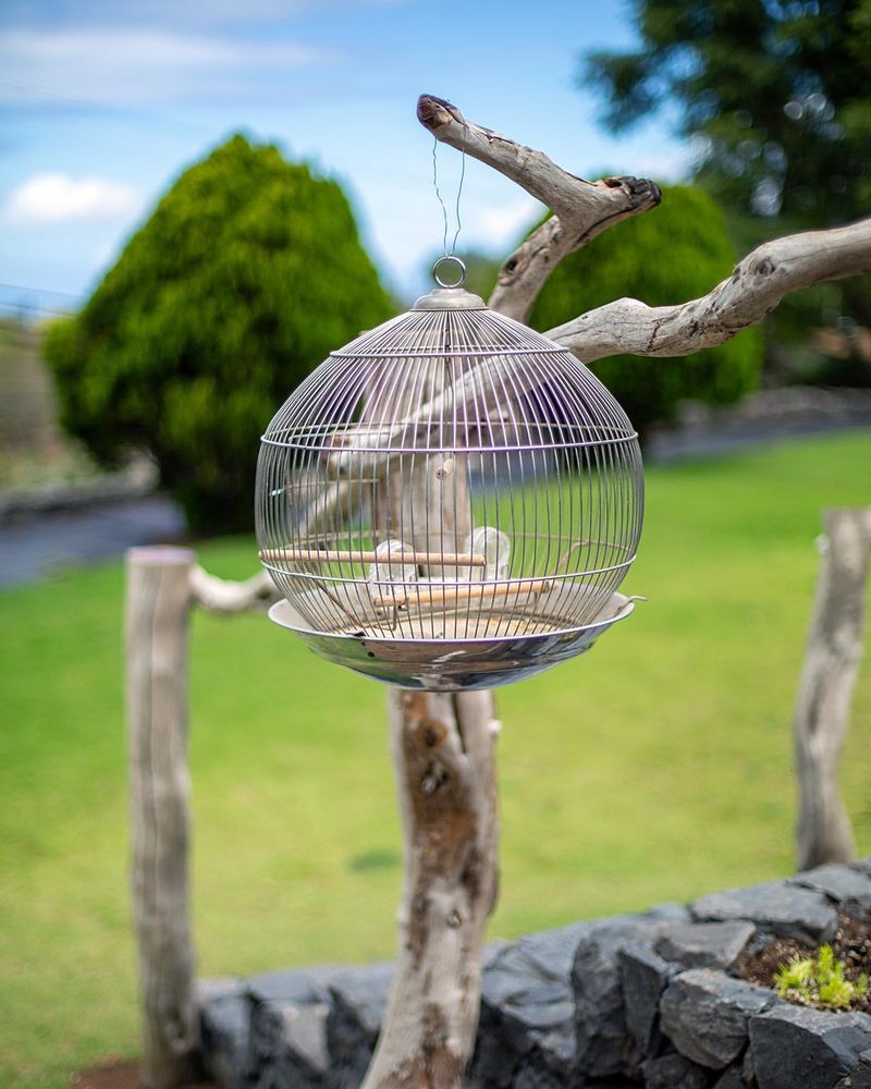 Cage Them Out With Wire Mesh Barriers