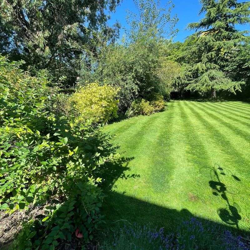 Cool-Season Lawn Grass