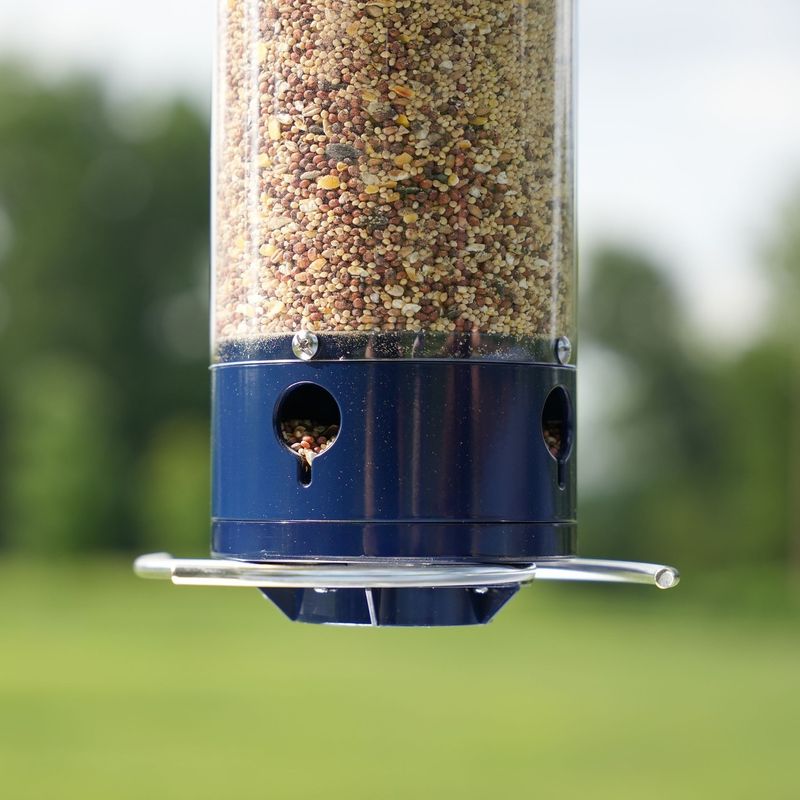 Weight-Activated Feeders Shut The Door