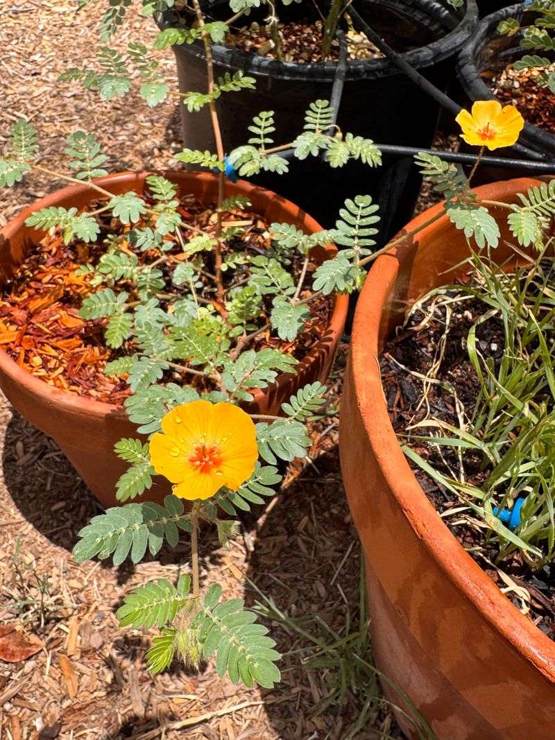 The Right Planting Spot Matters More Than People Think