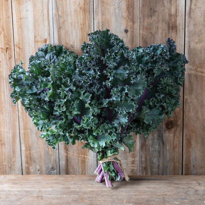 Kale Rubybor F1