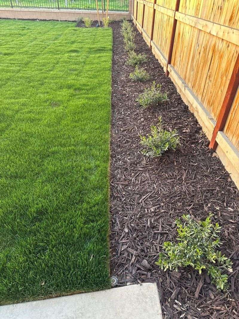 Mulched Berm Edges Shape Beds Without Formal Materials