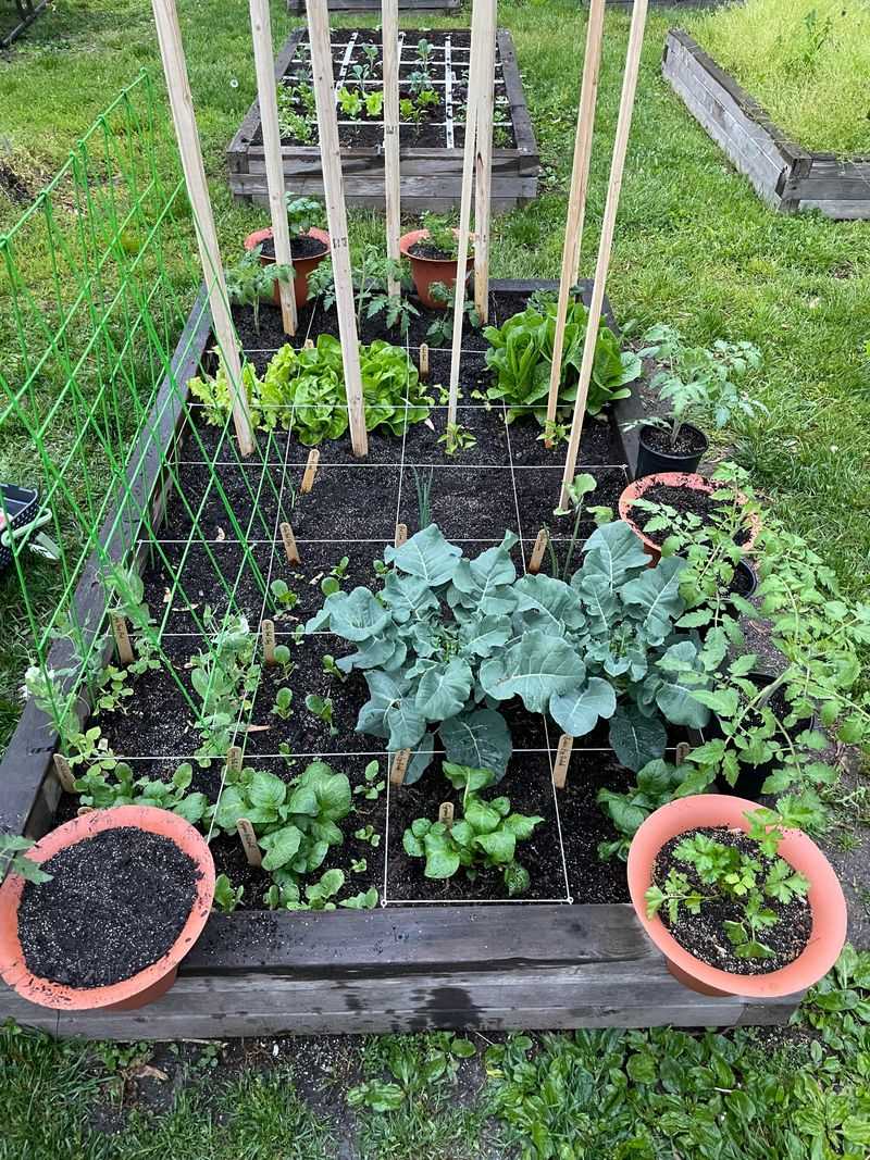 Grow High-Yield Crops