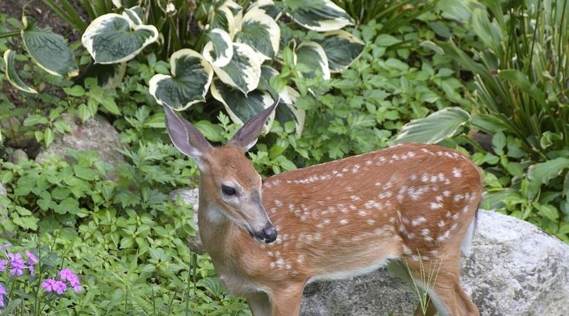 Use Physical Barriers For Reliable Protection