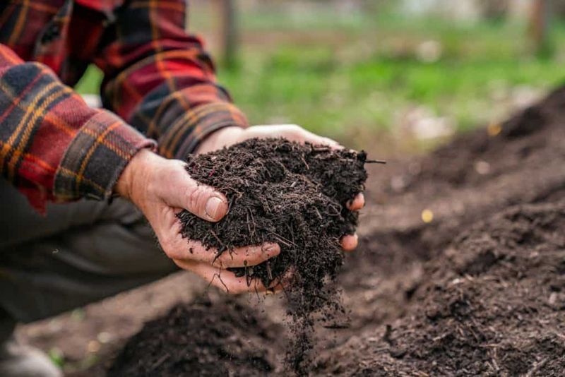 Prepare Compost And Mulch Supplies