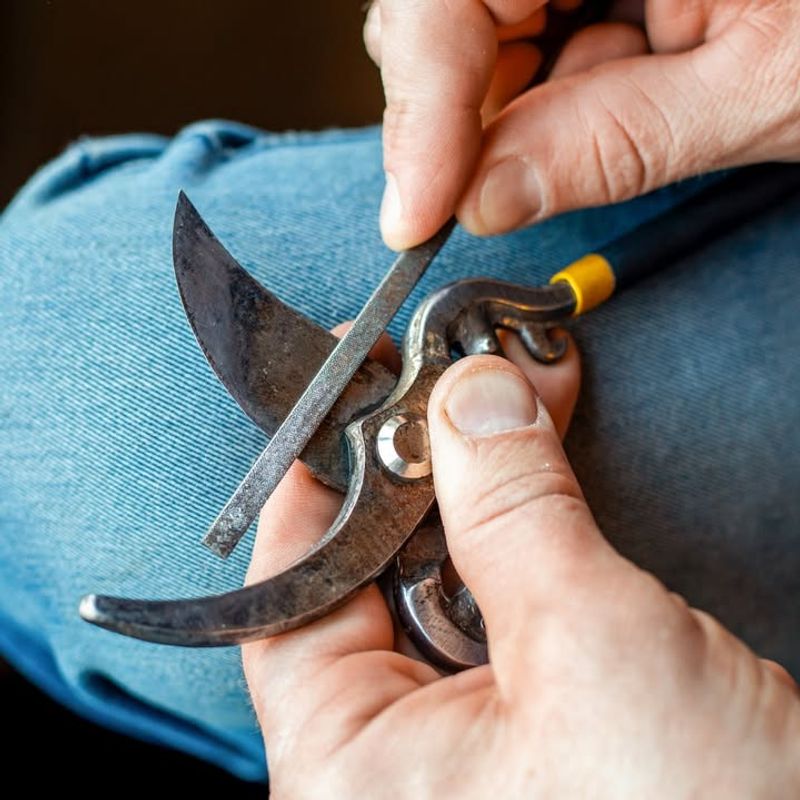 Sharpen And Clean Every Garden Tool Before The Rush