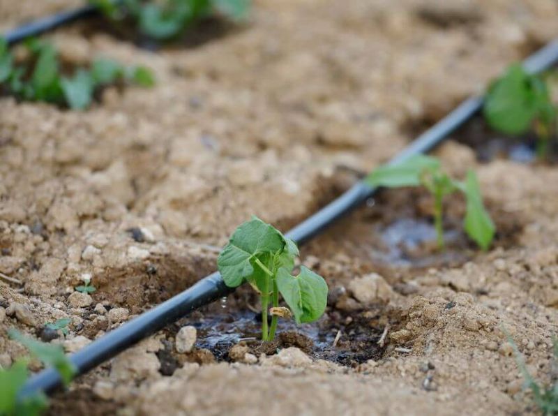 Inspect And Repair Irrigation Systems