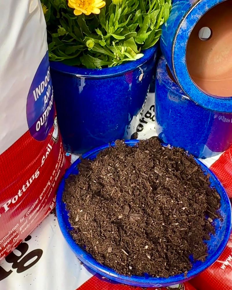 Use Fast Draining Potting Soil For Healthy Roots