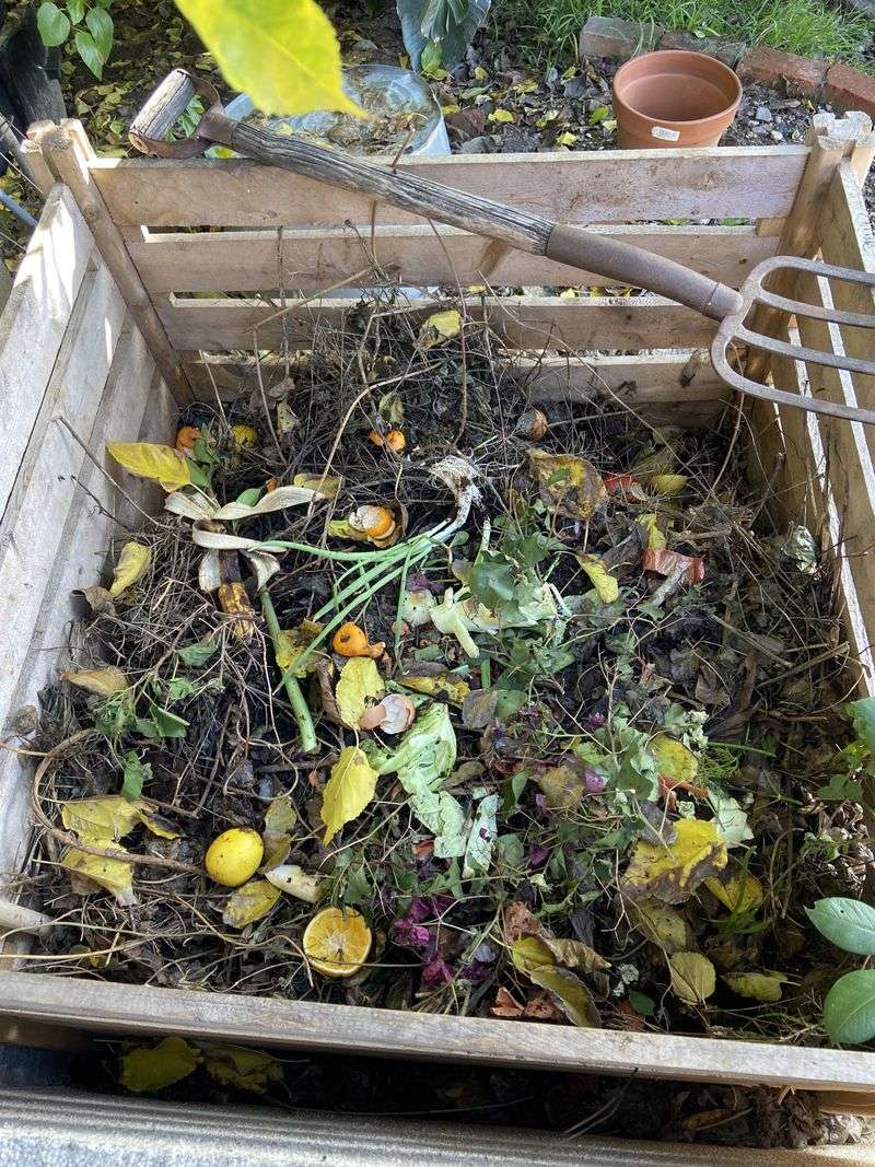 Add Compost Before Planting