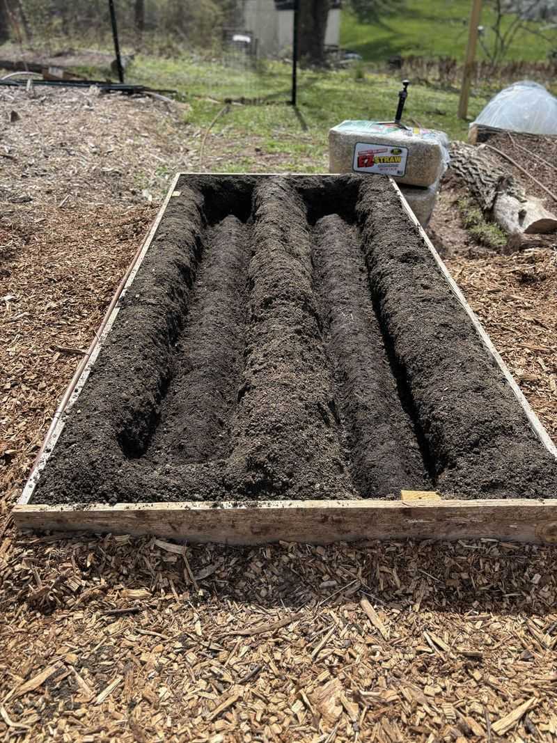 Choose A Sunny Spot That Can Stay Permanent For Years