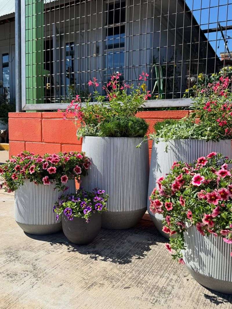 Larger Containers Hold Moisture Longer In Hot Conditions