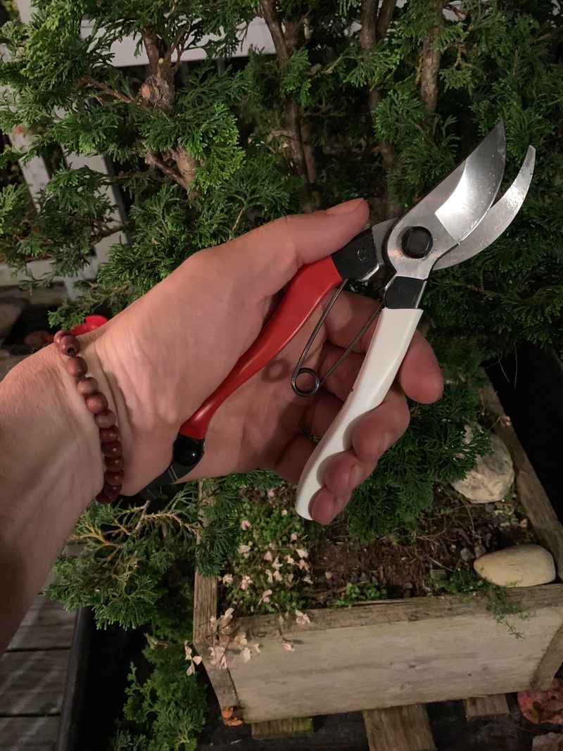 Use Clean, Sharp Tools