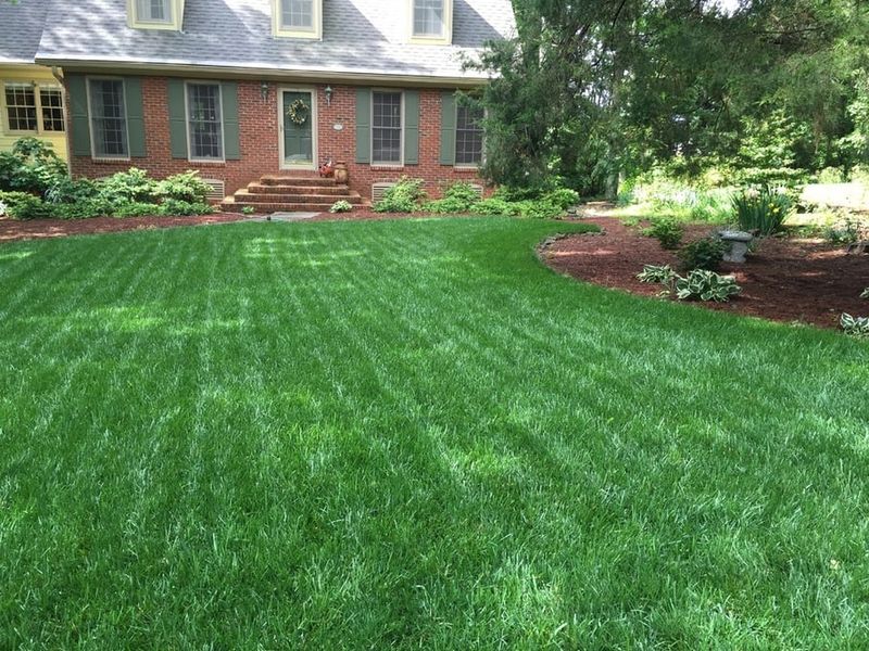 Use Taller Grass To Shade The Soil And Hold Moisture