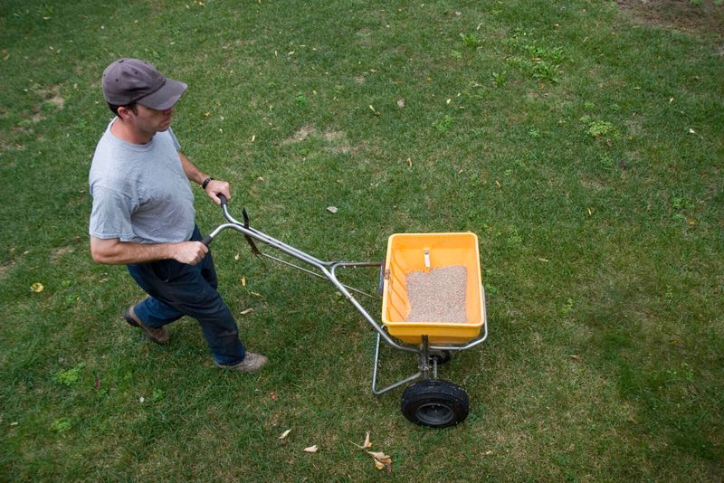 Avoid The Hidden Damage Of Feeding Too Soon