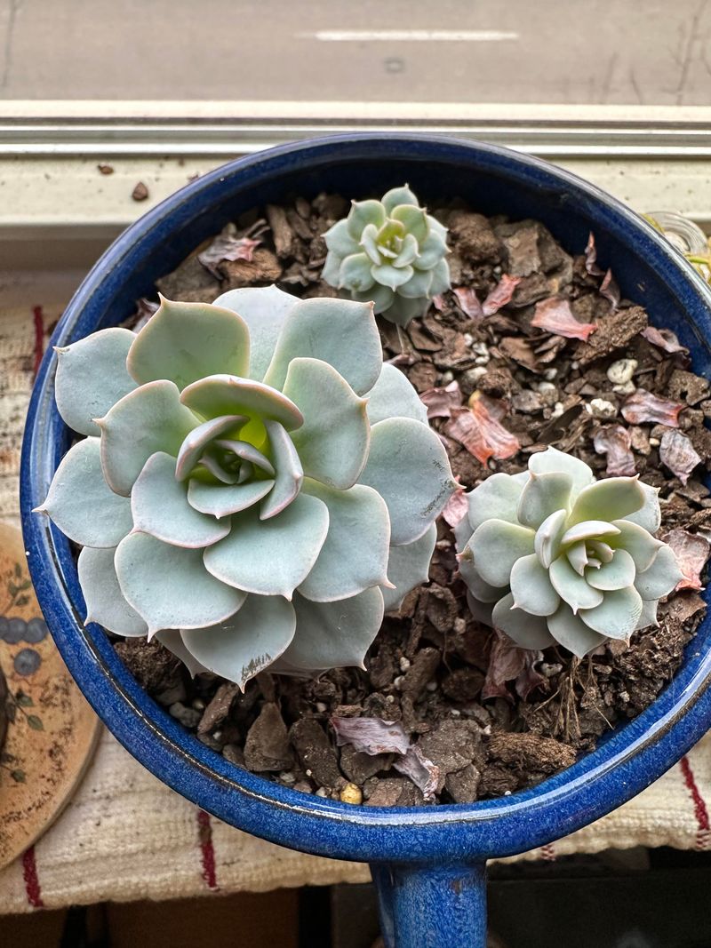 Remove Damaged Parts