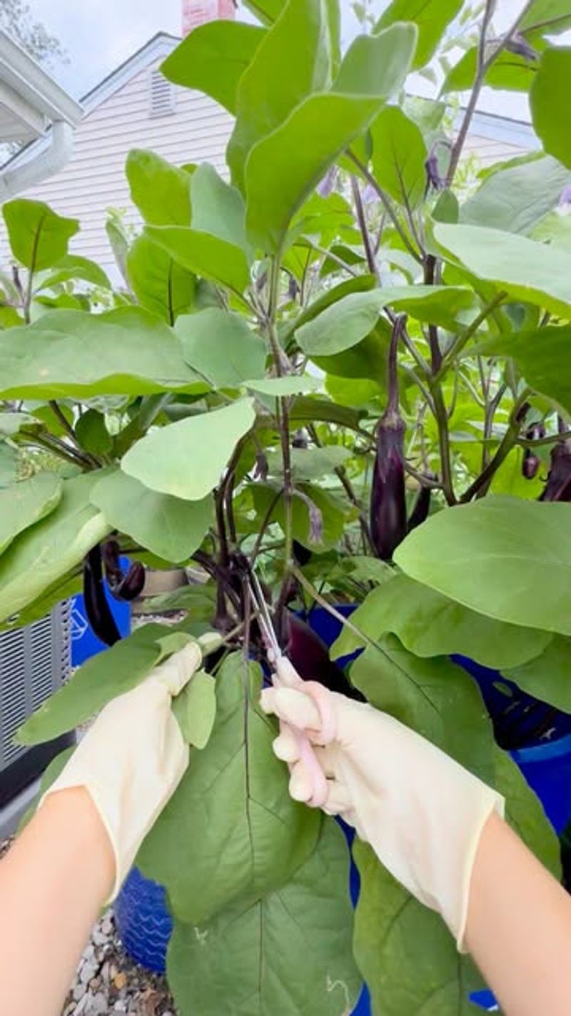 Better Airflow During Humid Months