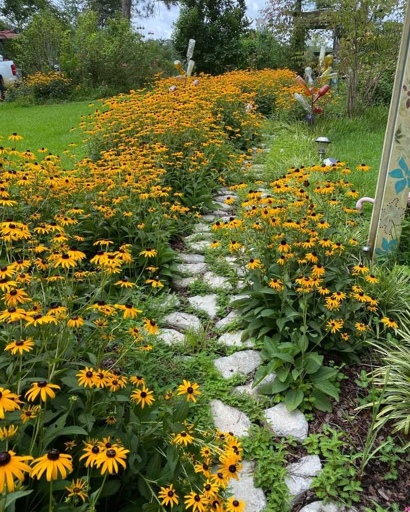 Plant Native Perennials For Seasonal Color