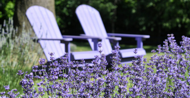 Stylish North Carolina Backyard Ideas For A Low-Maintenance Space