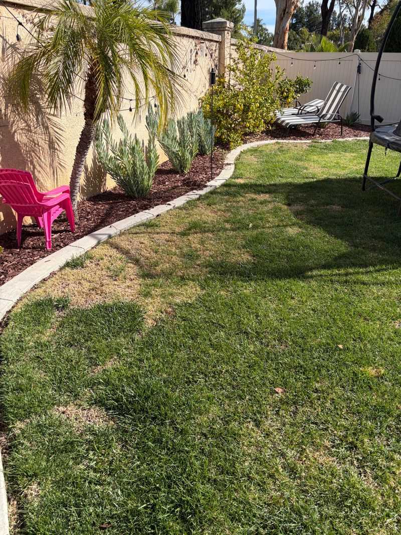 Heavy Rain Followed By Dry Spells