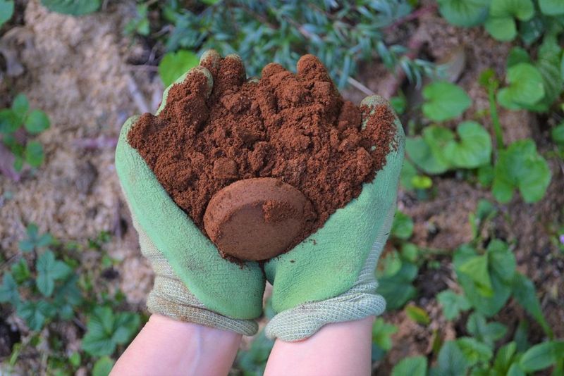 Use Coffee Grounds The Smart Way