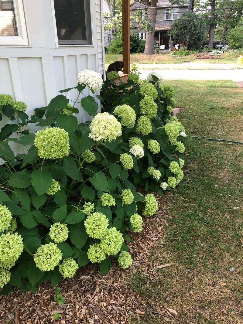 Reliable Growth Year After Year