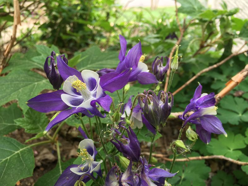 Space-Saving Indoor Start