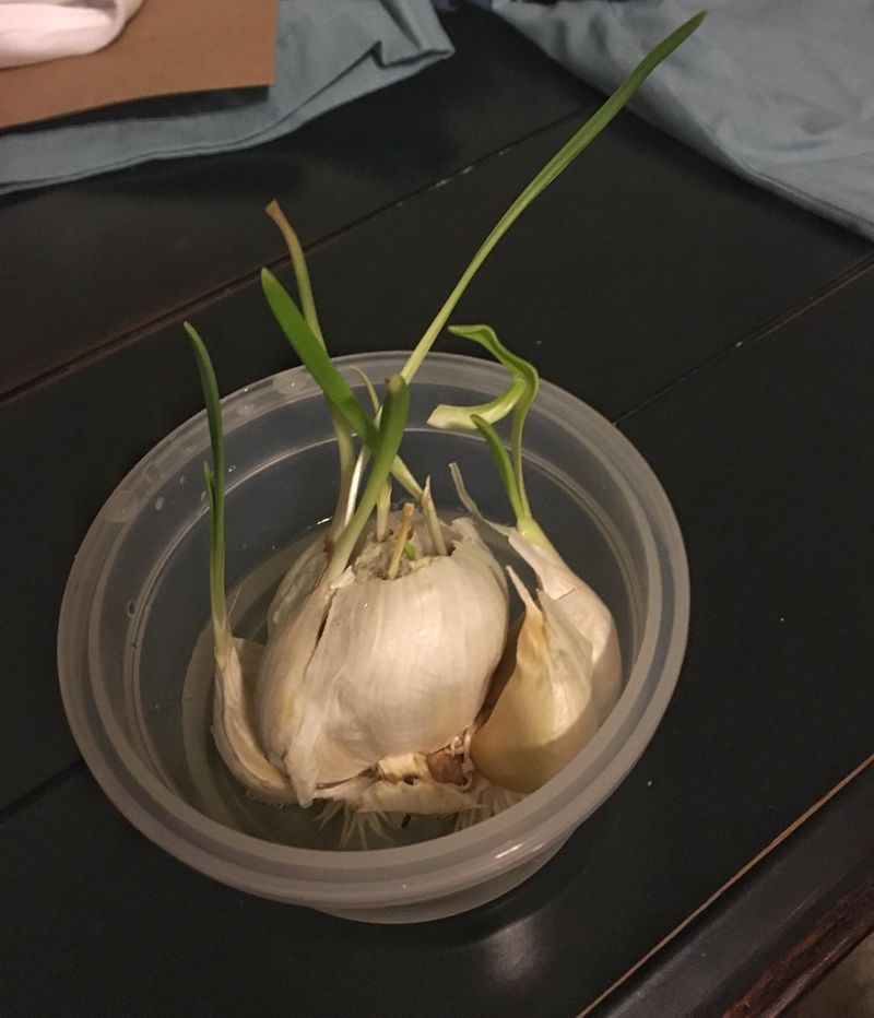 Garlic Greens On Demand