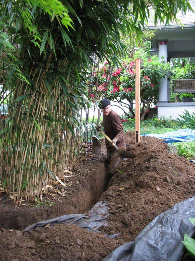 Constant Maintenance Needed To Keep It Under Control