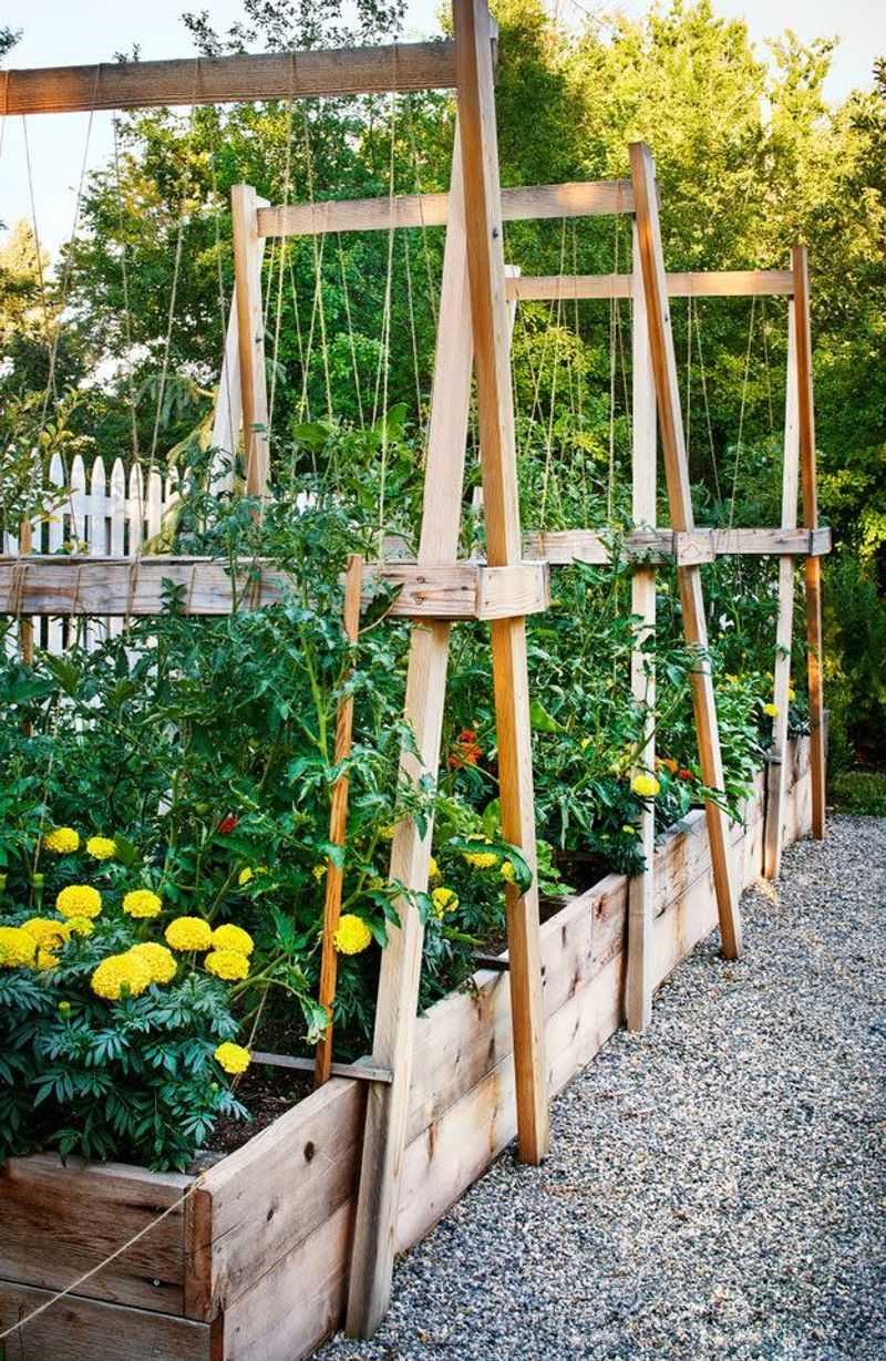 Trellises Block Strong Sun And Support Climbing Vegetables