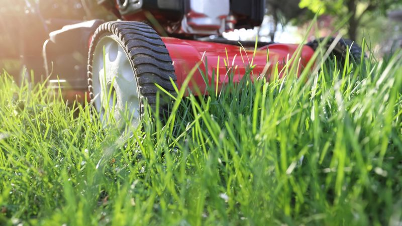 Mowing High Helps Prevent Early Spring Weeds