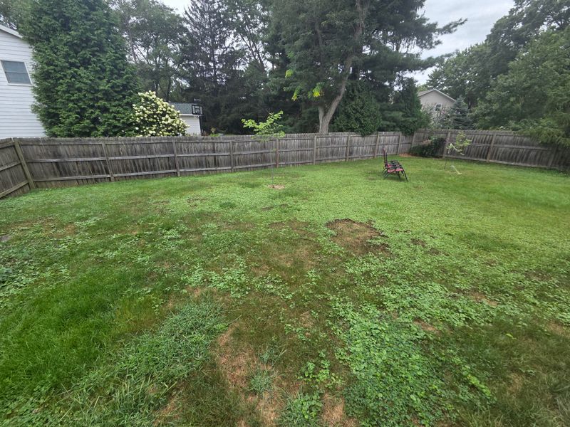 Match Herbicide Choice To Your Lawn's Weed Pressure