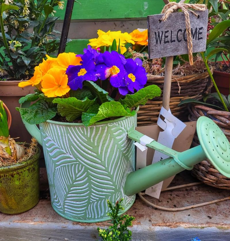 Watering Cans That Give Your Plants A Splash Of Style
