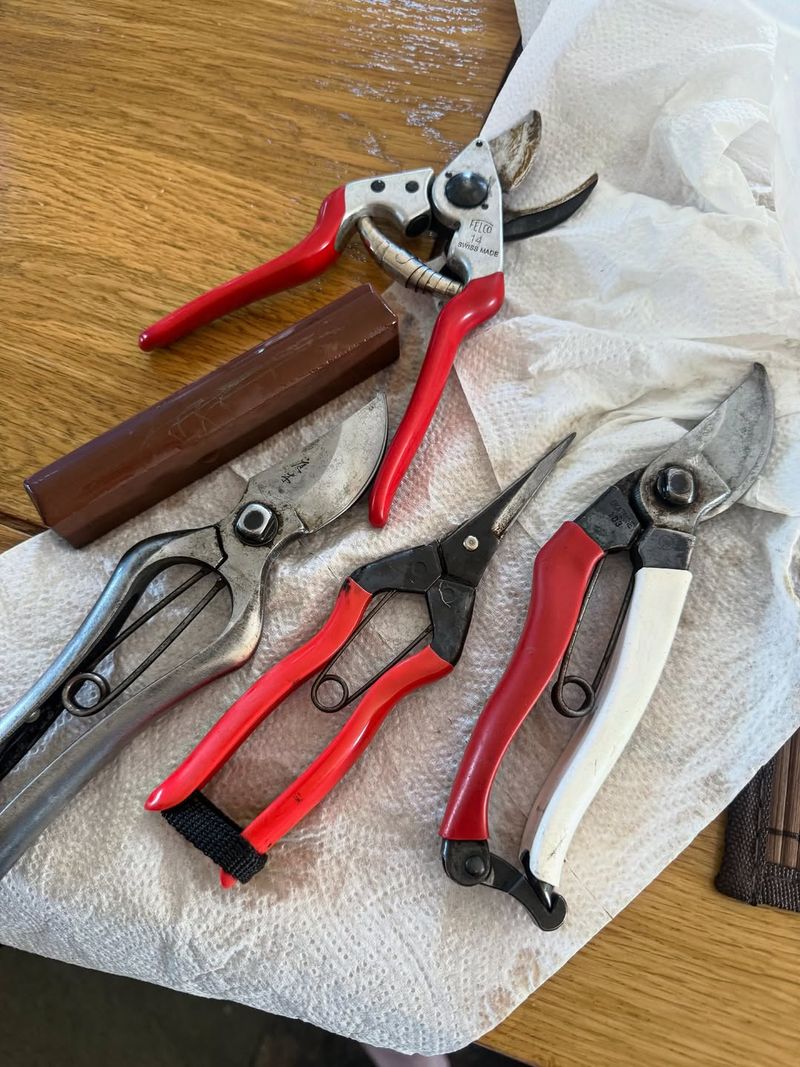 Clean And Sharpen Garden Tools For Satisfying Cuts